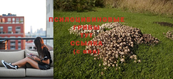 МДПВ Заволжск