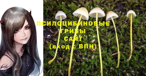 прущий лед Дедовск