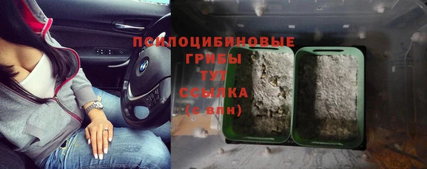 МДПВ Заволжск