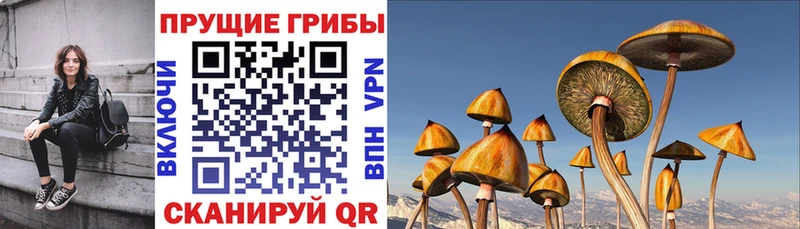 Галлюциногенные грибы ЛСД Каргополь