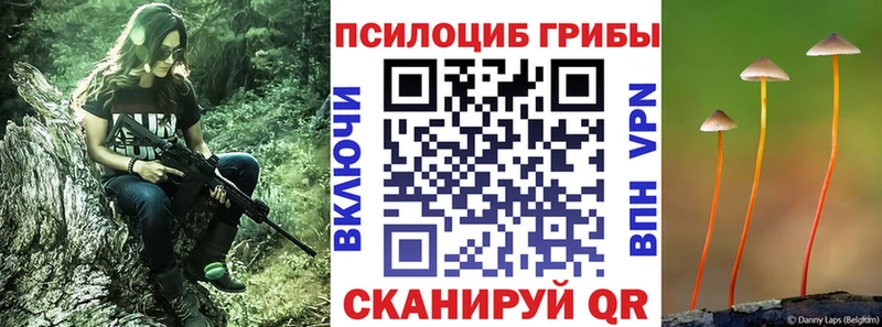 Галлюциногенные грибы мухоморы  наркота  Каргополь 